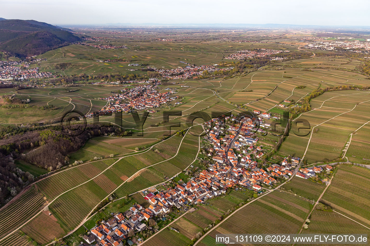 Ranschbach in the state Rhineland-Palatinate, Germany seen from a drone