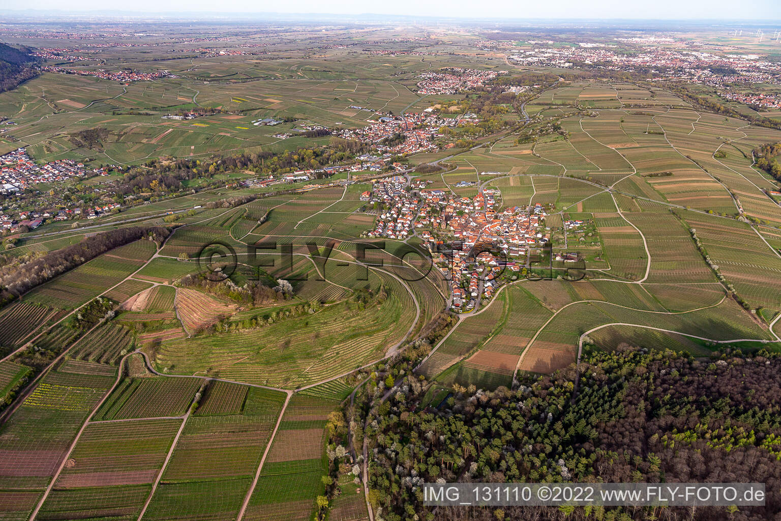 Birkweiler in the state Rhineland-Palatinate, Germany out of the air