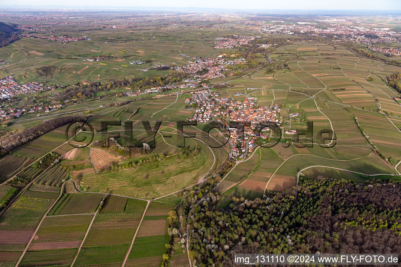 Birkweiler in the state Rhineland-Palatinate, Germany from above