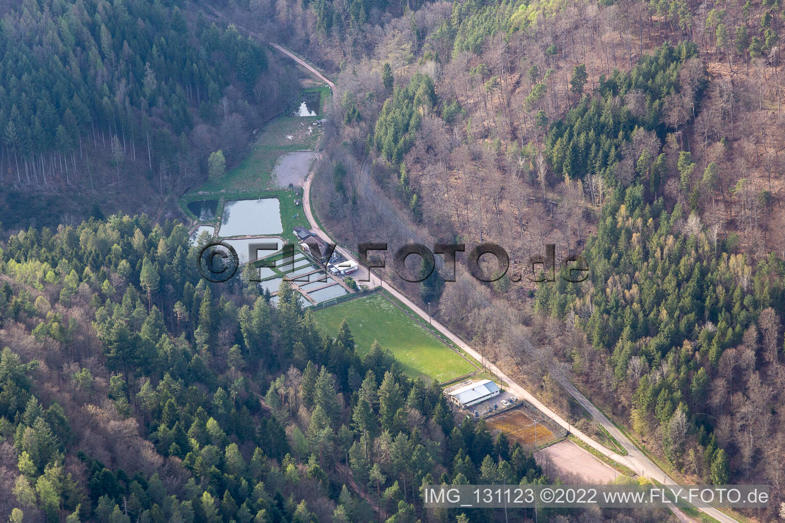 Aerial view of Palatinate Forest Forellen Owner Stefan Erber in Eußerthal in the state Rhineland-Palatinate, Germany