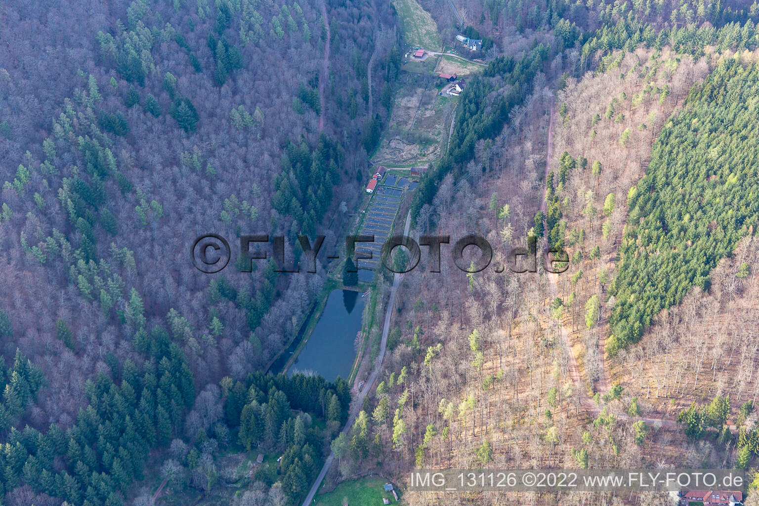 Aerial photograpy of Palatinate Forest Forellen Owner Stefan Erber in Eußerthal in the state Rhineland-Palatinate, Germany