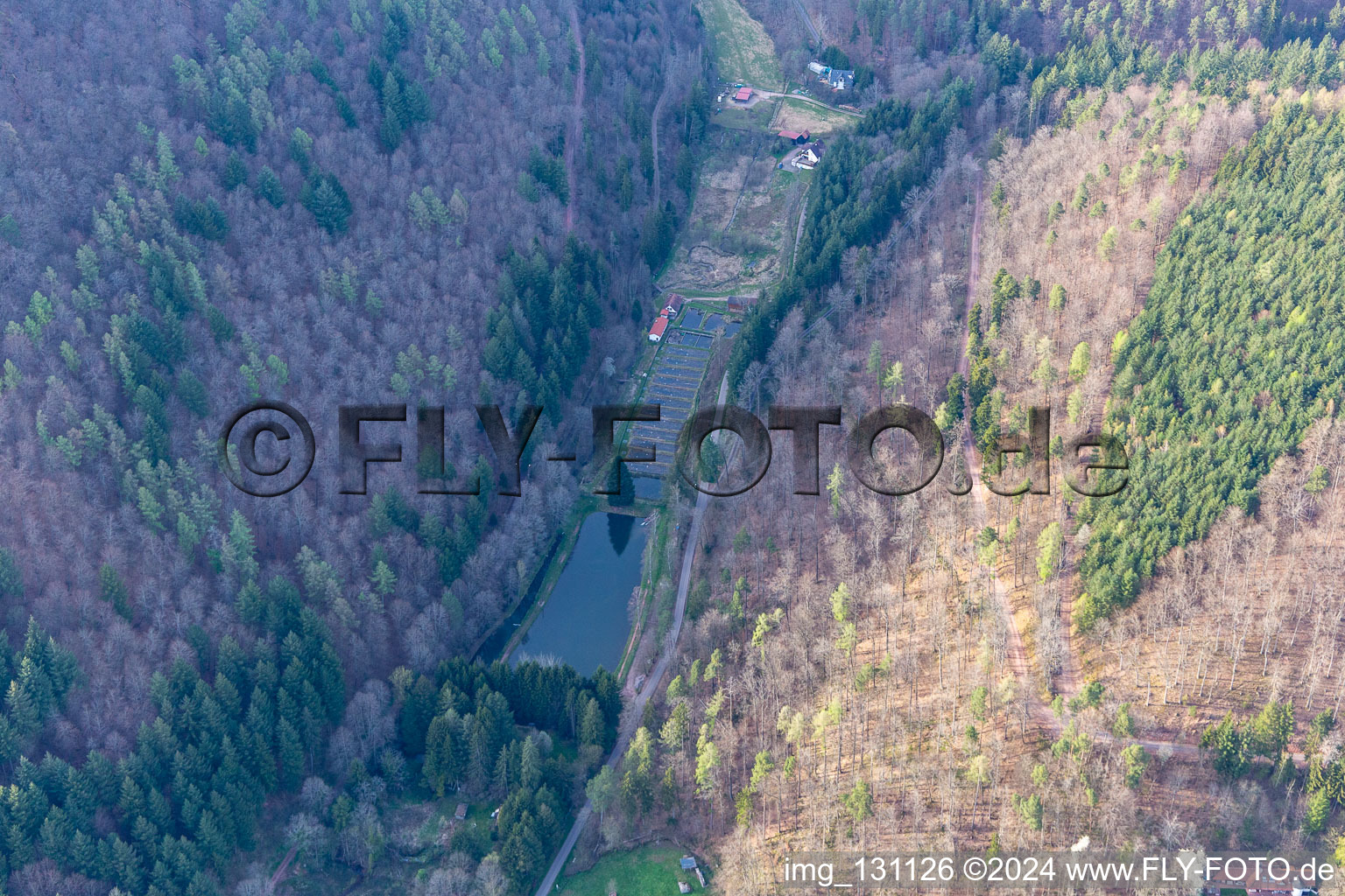 Aerial photograpy of Palatinate Forest Trout Owner Stefan Erber in Eußerthal in the state Rhineland-Palatinate, Germany