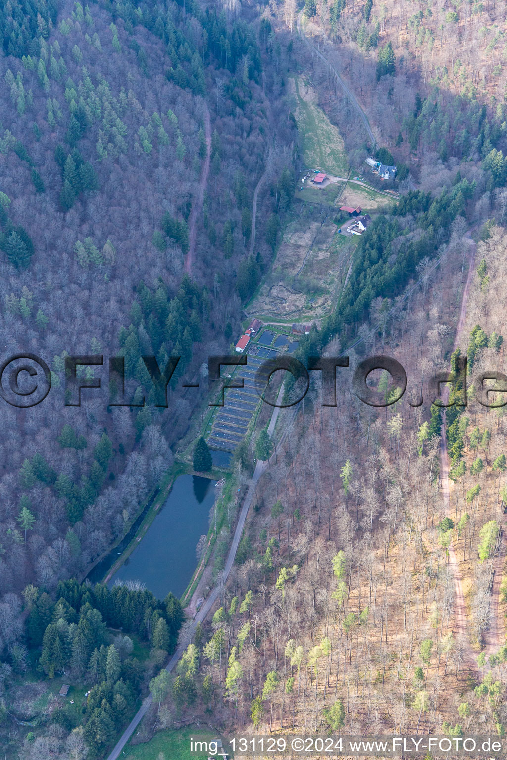 Oblique view of Palatinate Forest Trout Owner Stefan Erber in Eußerthal in the state Rhineland-Palatinate, Germany