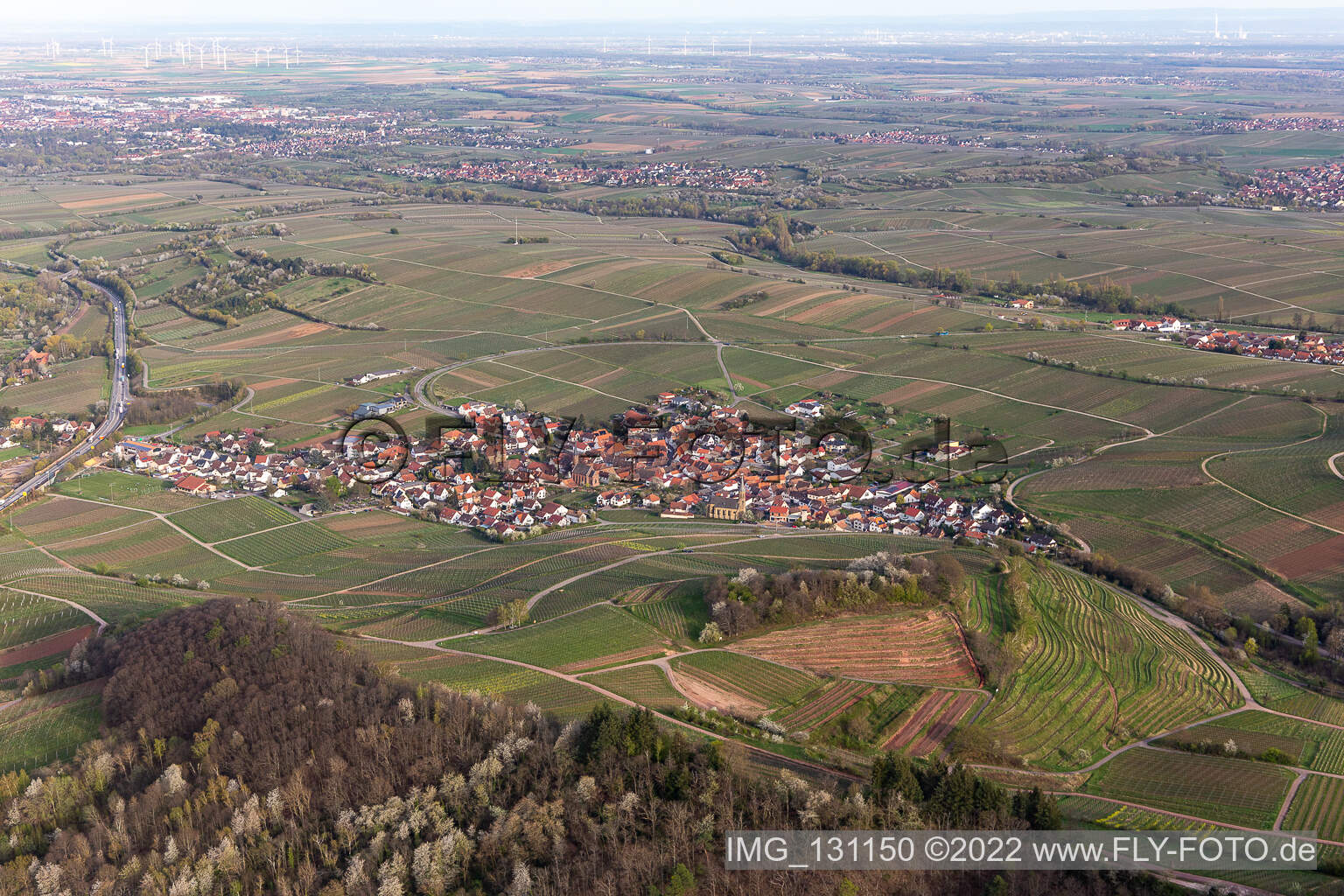 Birkweiler in the state Rhineland-Palatinate, Germany seen from above