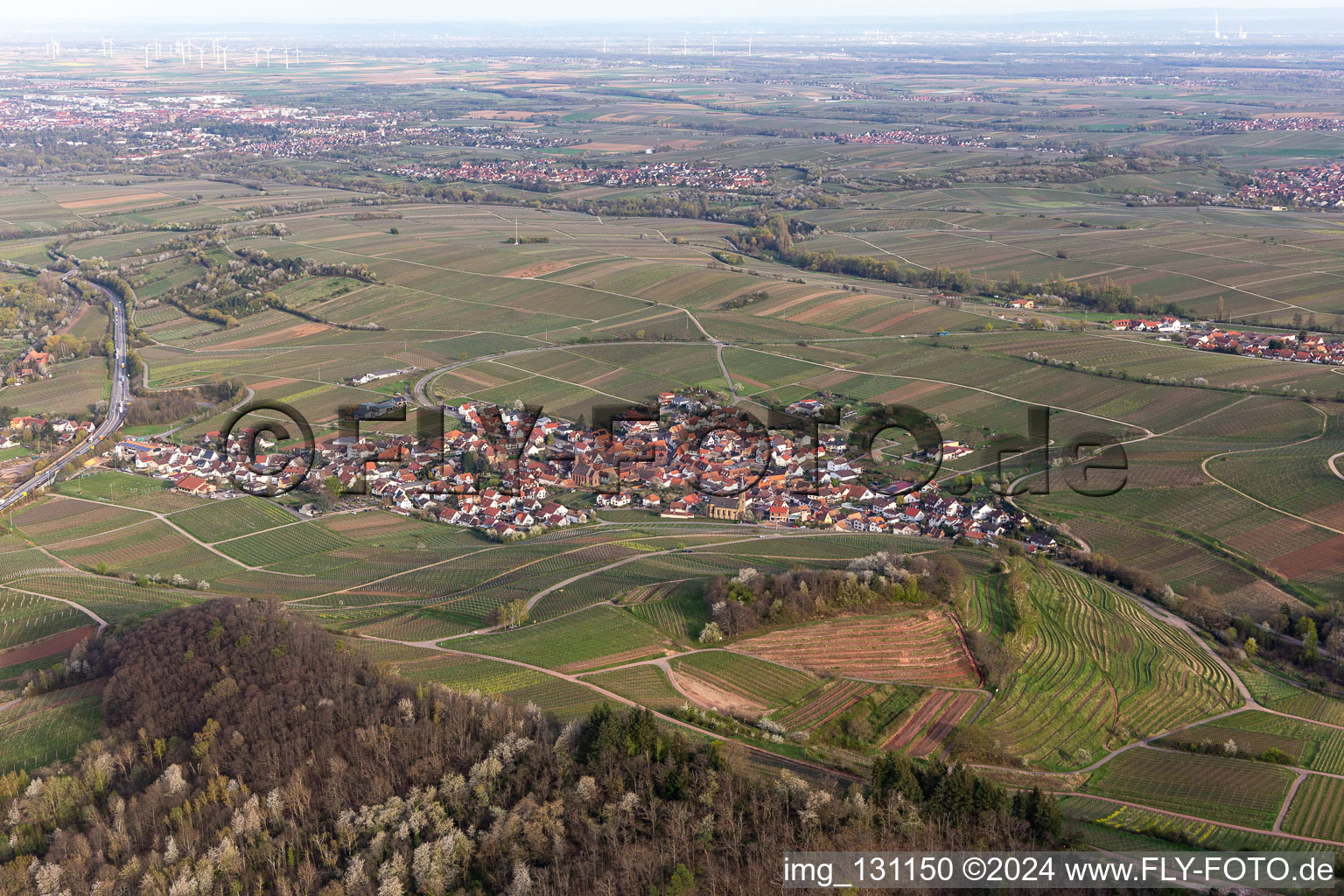 Birkweiler in the state Rhineland-Palatinate, Germany seen from above