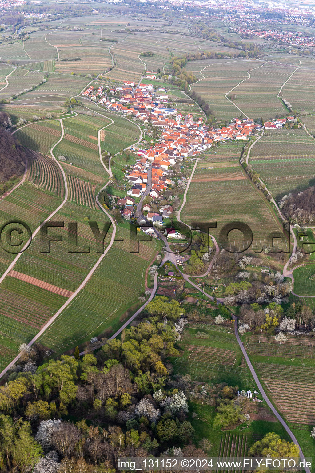 Aerial view of Ranschbach in the state Rhineland-Palatinate, Germany