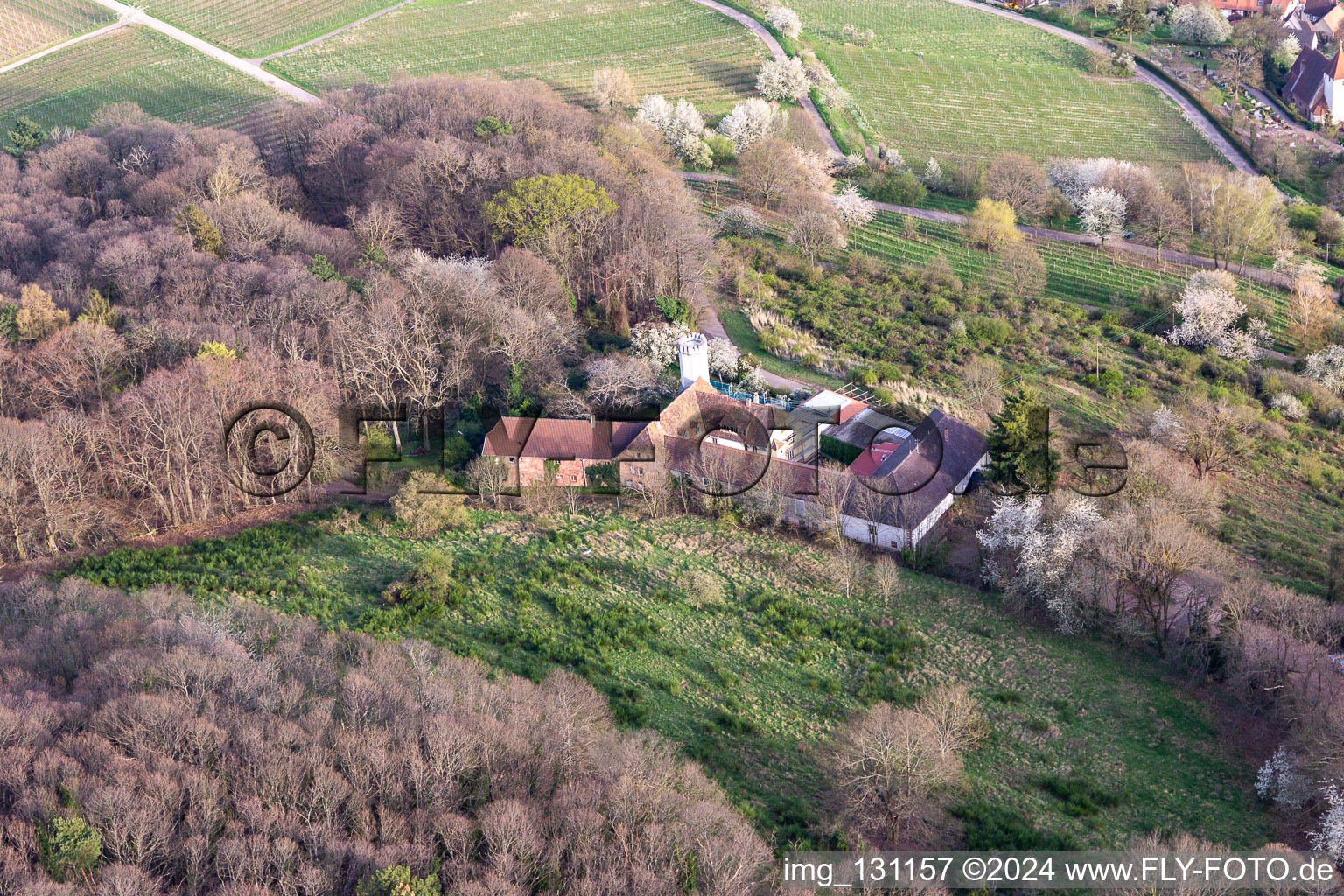 Aerial photograpy of Slevogthof in Leinsweiler in the state Rhineland-Palatinate, Germany