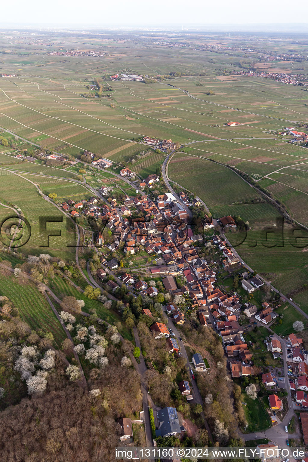 Bird's eye view of Leinsweiler in the state Rhineland-Palatinate, Germany