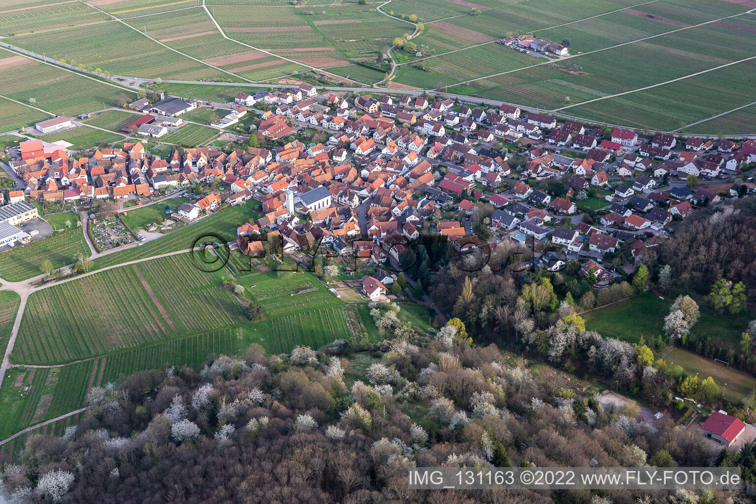 Oblique view of Eschbach in the state Rhineland-Palatinate, Germany