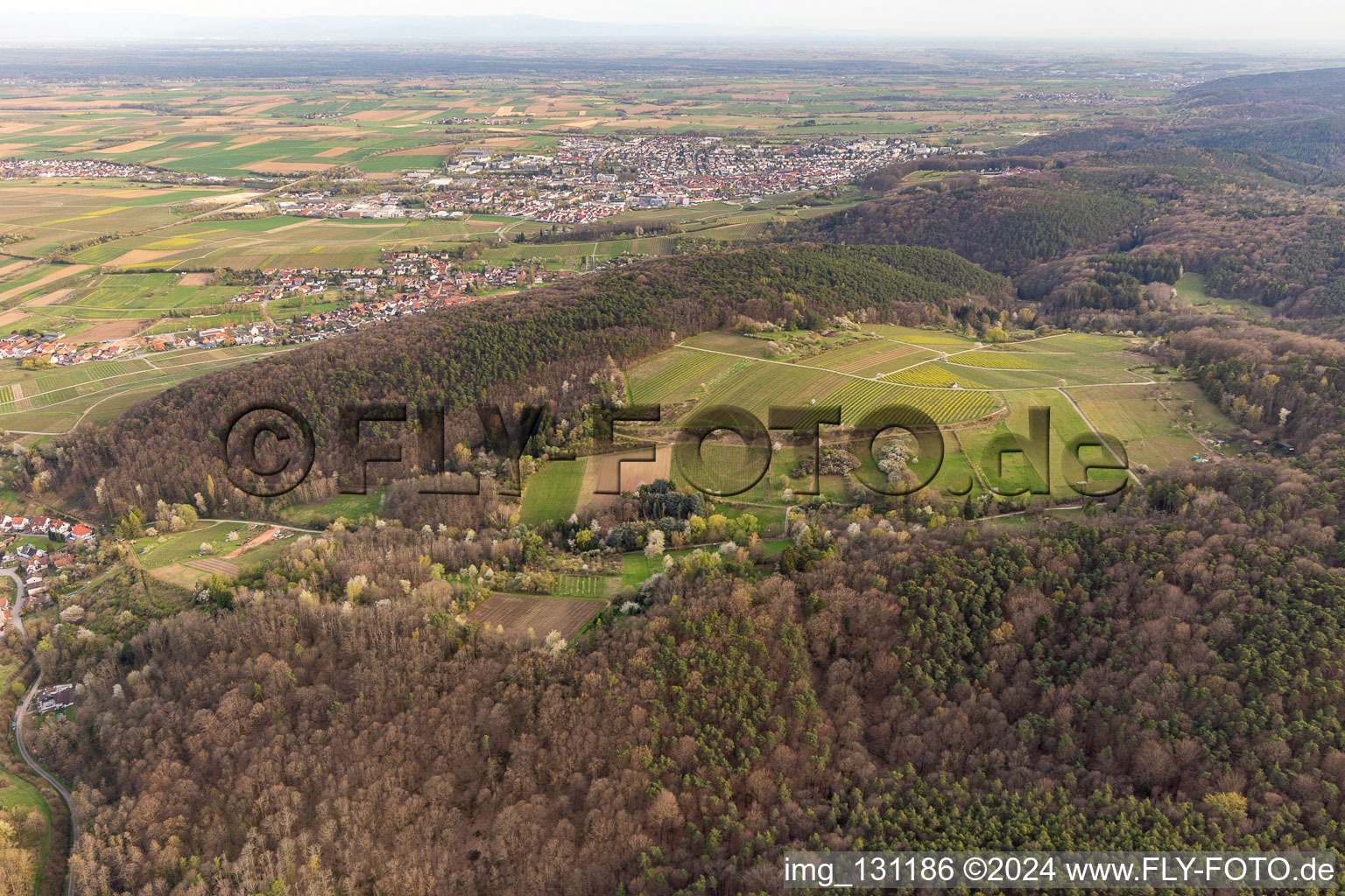 Oblique view of Haardtrand-Wolfsteig in Pleisweiler-Oberhofen in the state Rhineland-Palatinate, Germany