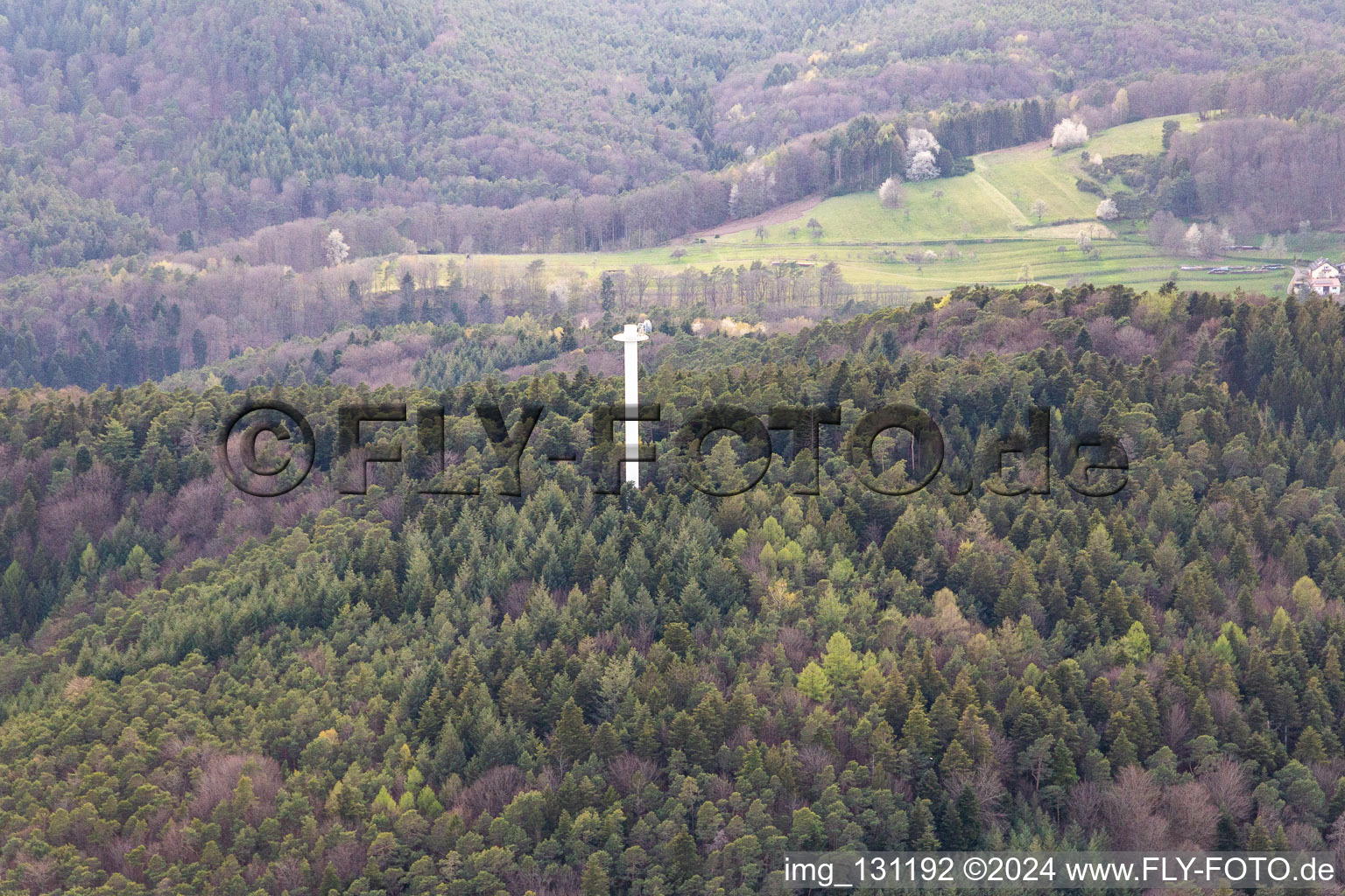 Transmission tower in the district Blankenborn in Bad Bergzabern in the state Rhineland-Palatinate, Germany