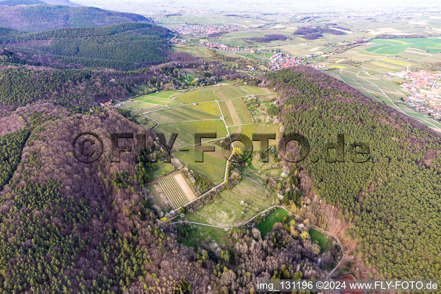 Haardtrand-Wolfsteig in Pleisweiler-Oberhofen in the state Rhineland-Palatinate, Germany out of the air