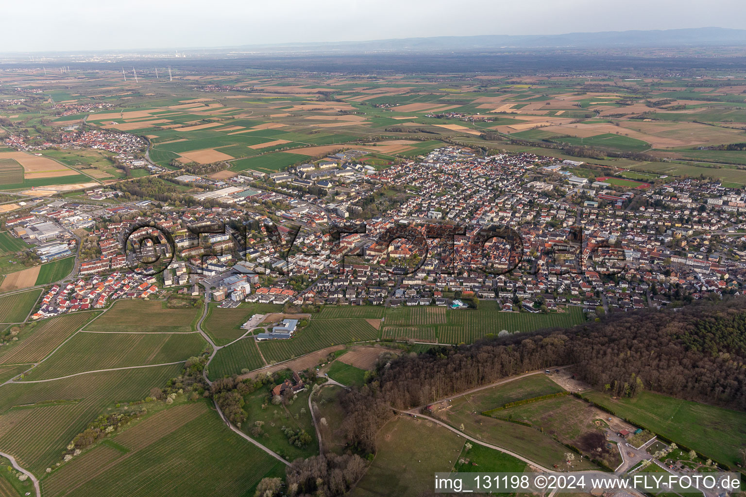 Oblique view of Bad Bergzabern in the state Rhineland-Palatinate, Germany