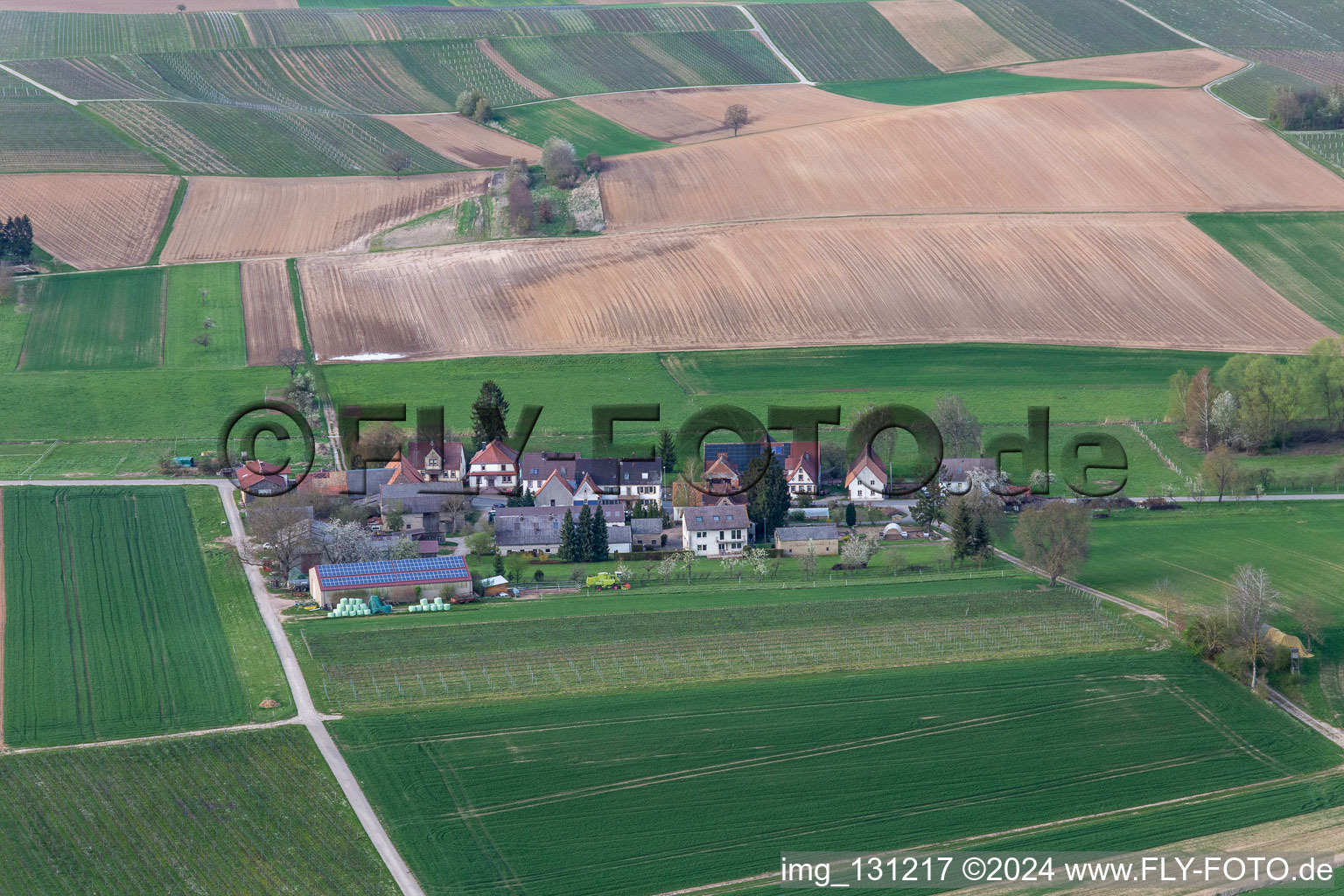 Wine & Sparkling Wine Estate Däuwel at Deutschhof in the district Deutschhof in Kapellen-Drusweiler in the state Rhineland-Palatinate, Germany