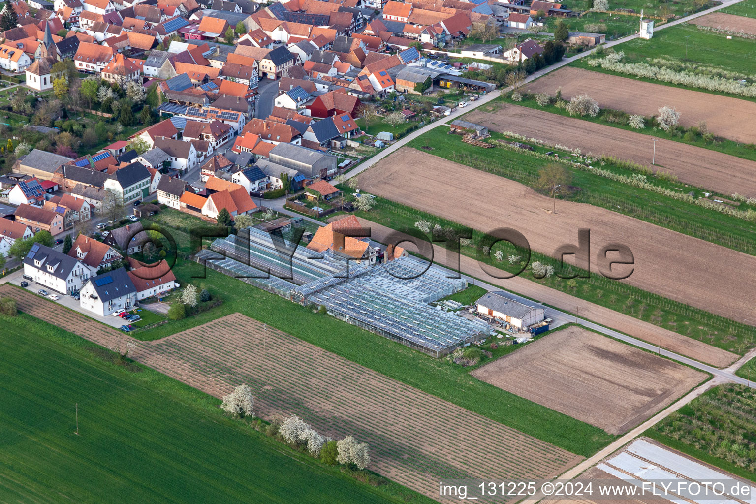 Former nursery on Grasweg in Winden in the state Rhineland-Palatinate, Germany