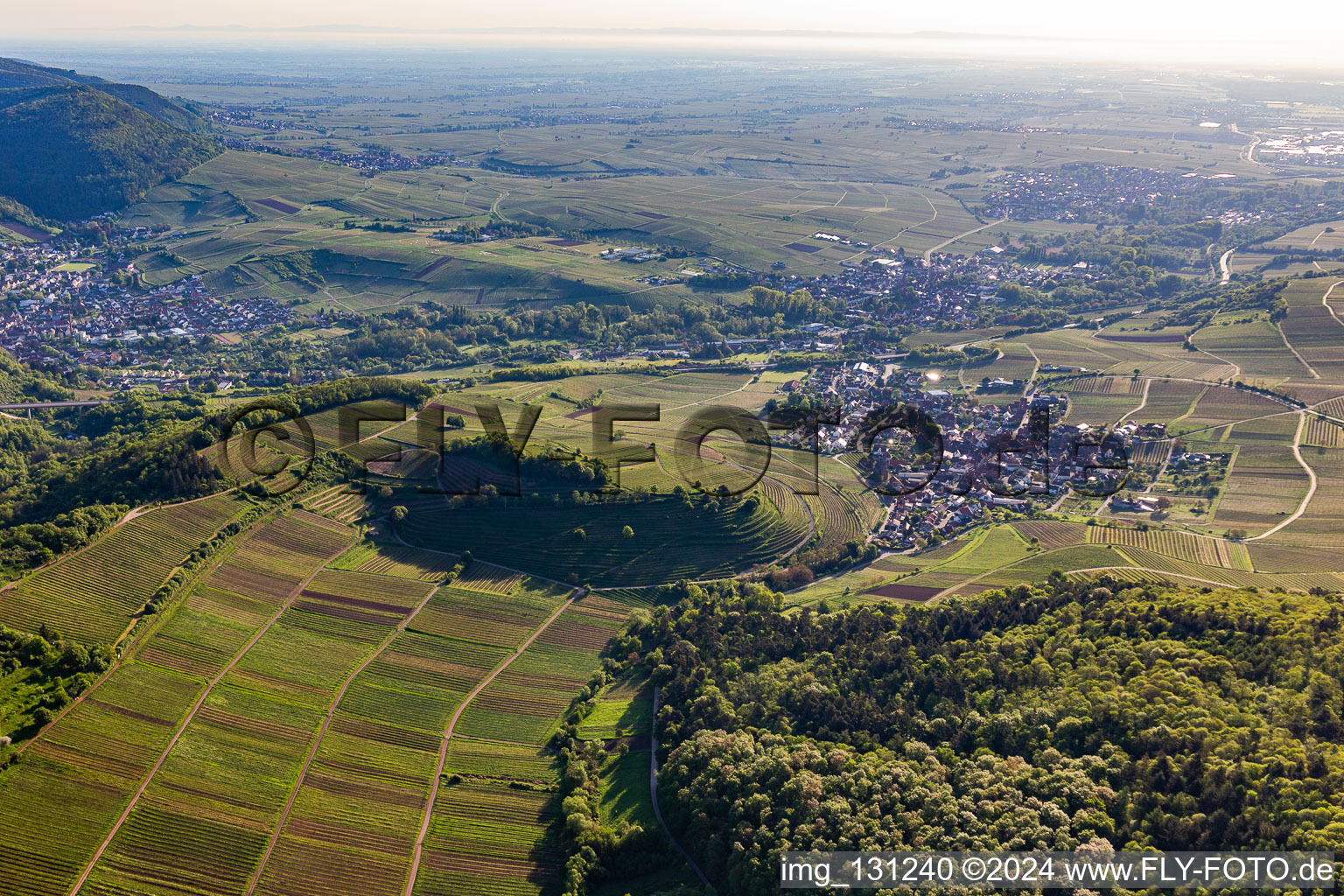 Aerial view of Chestnut bush in Birkweiler in the state Rhineland-Palatinate, Germany