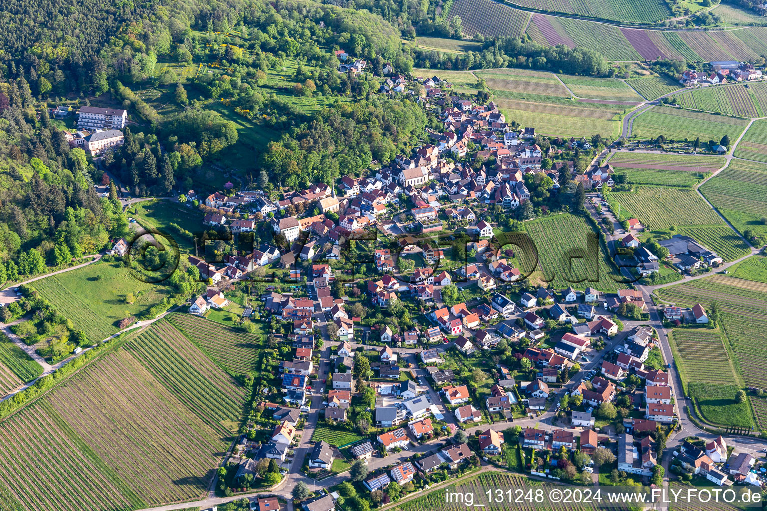 Oblique view of Frankweiler in the state Rhineland-Palatinate, Germany