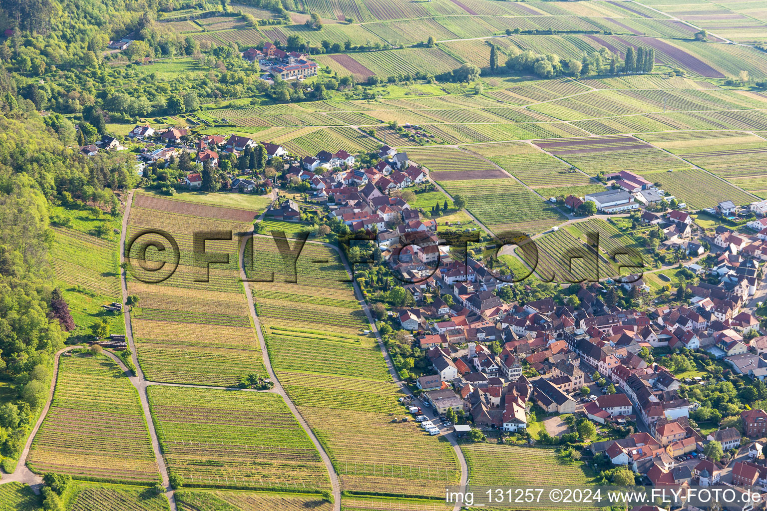 Weyher in der Pfalz in the state Rhineland-Palatinate, Germany from a drone