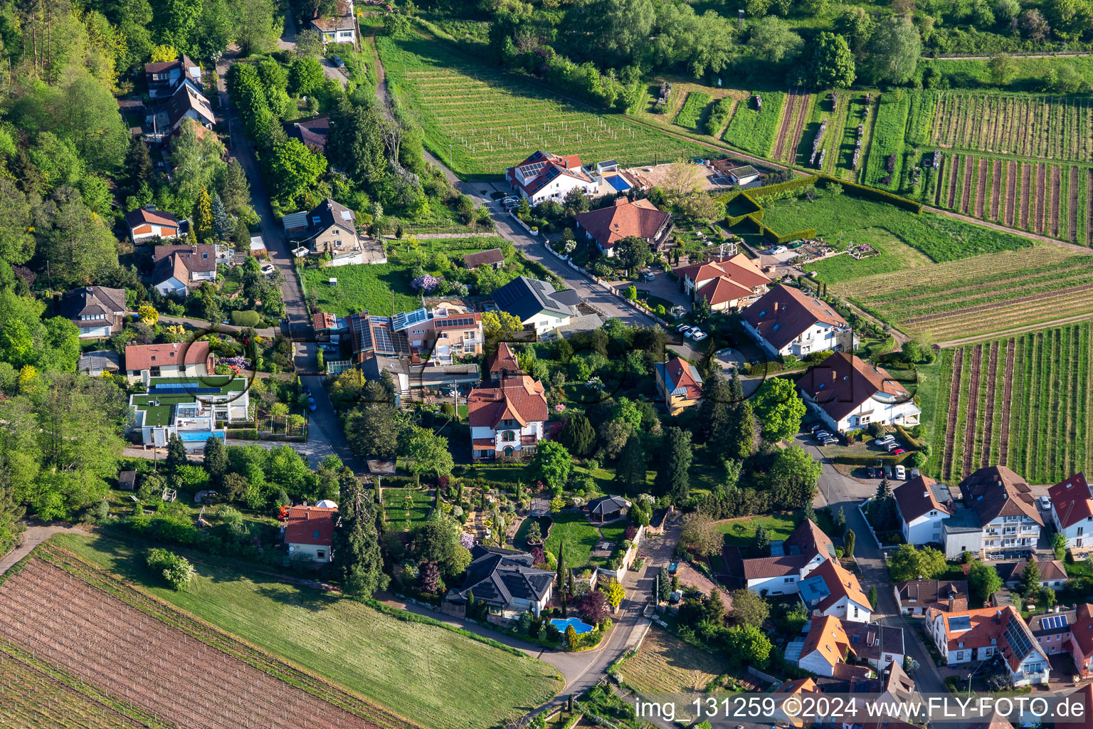 Bird song in the district Weyher in Weyher in der Pfalz in the state Rhineland-Palatinate, Germany