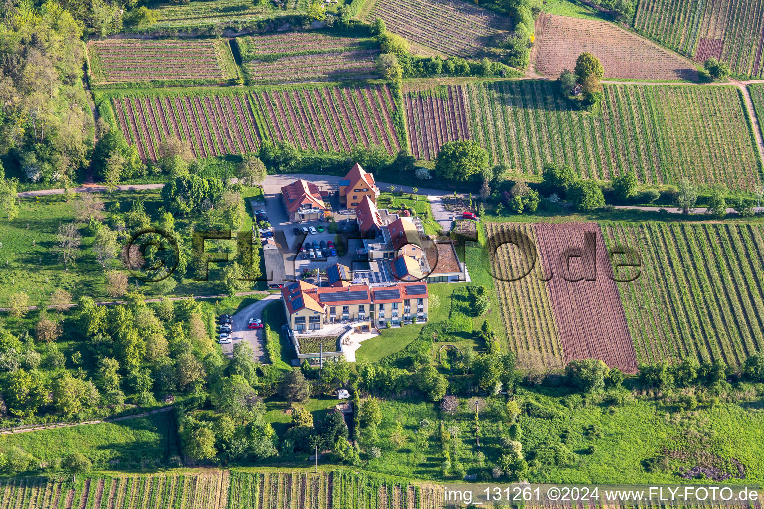 Wellness Hotel Alte Rebschule and Gasthaus Sesel in the district Rhodt in Rhodt unter Rietburg in the state Rhineland-Palatinate, Germany