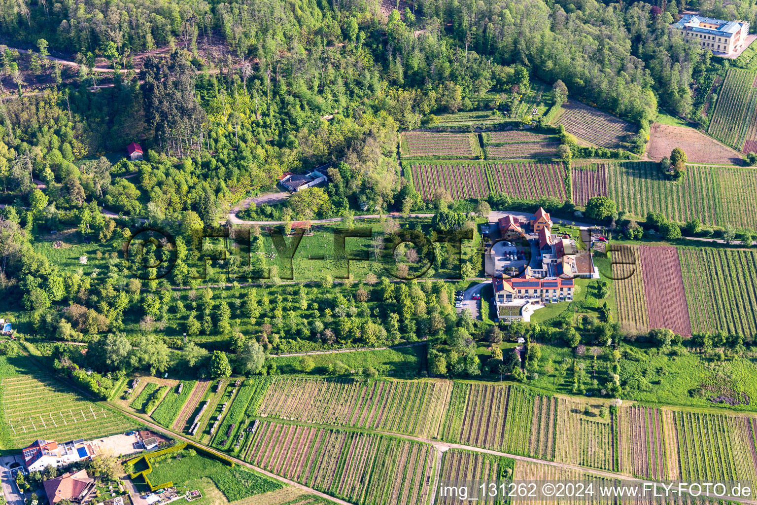 Aerial view of Wellness Hotel Alte Rebschule and Gasthaus Sesel in the district Rhodt in Rhodt unter Rietburg in the state Rhineland-Palatinate, Germany