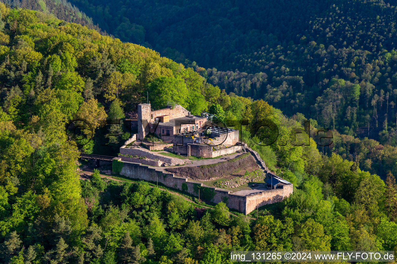 Aerial view of Rietburg castle ruins in Rhodt unter Rietburg in the state Rhineland-Palatinate, Germany