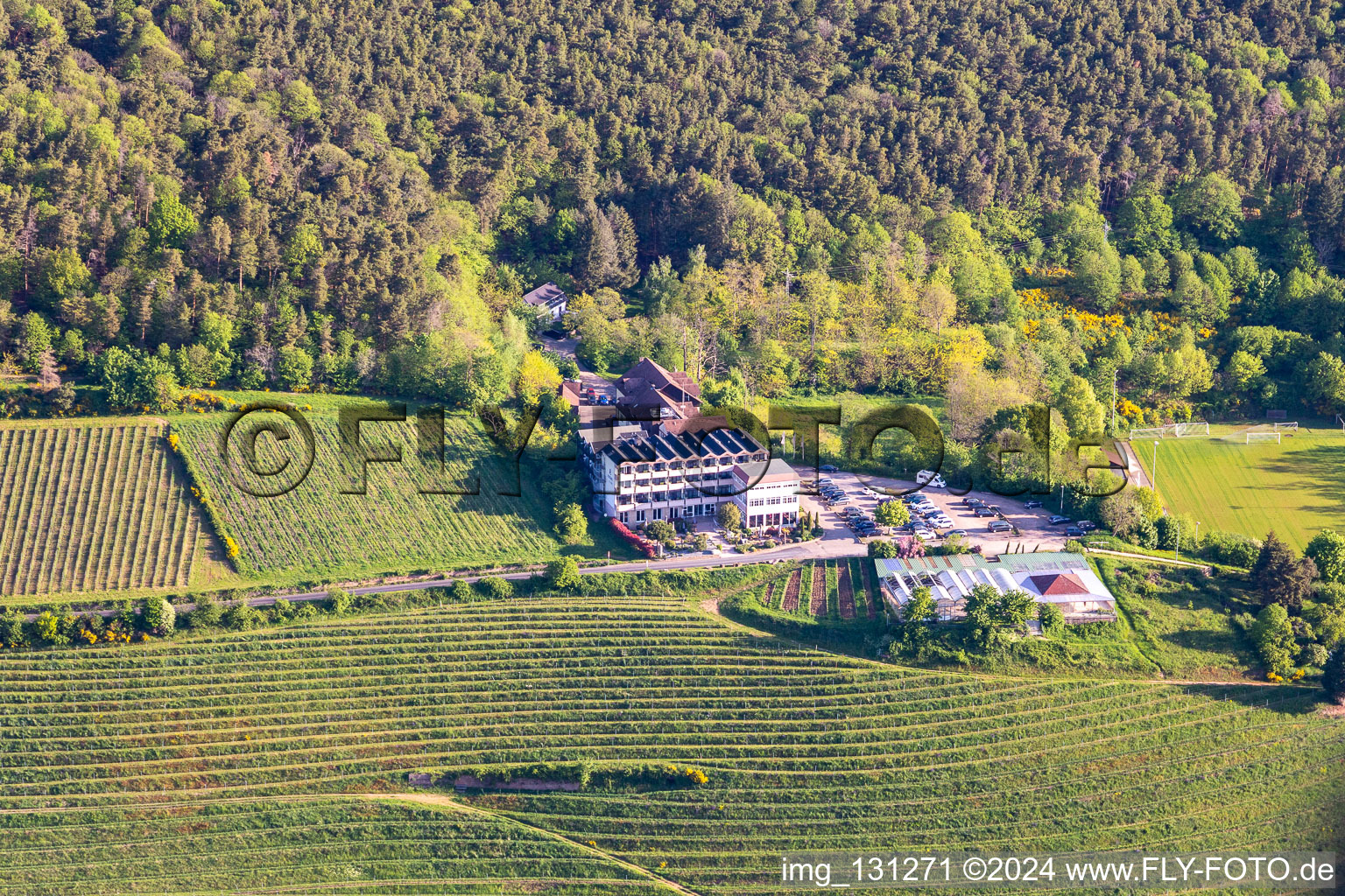 Hotel Haus am Weinberg in the district SaintMartin in Sankt Martin in the state Rhineland-Palatinate, Germany