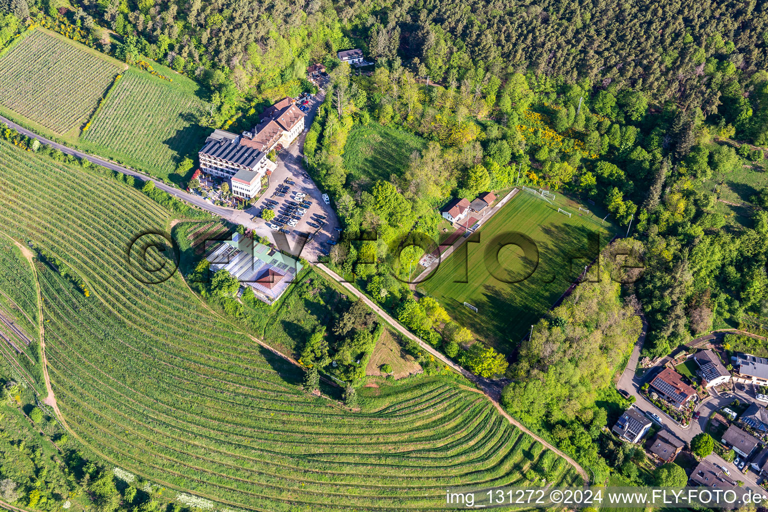 Aerial view of Hotel Haus am Weinberg in Sankt Martin in the state Rhineland-Palatinate, Germany