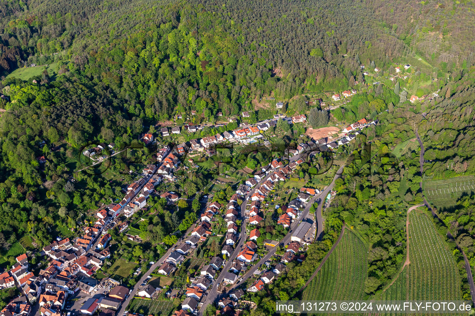 Aerial view of District SaintMartin in Sankt Martin in the state Rhineland-Palatinate, Germany