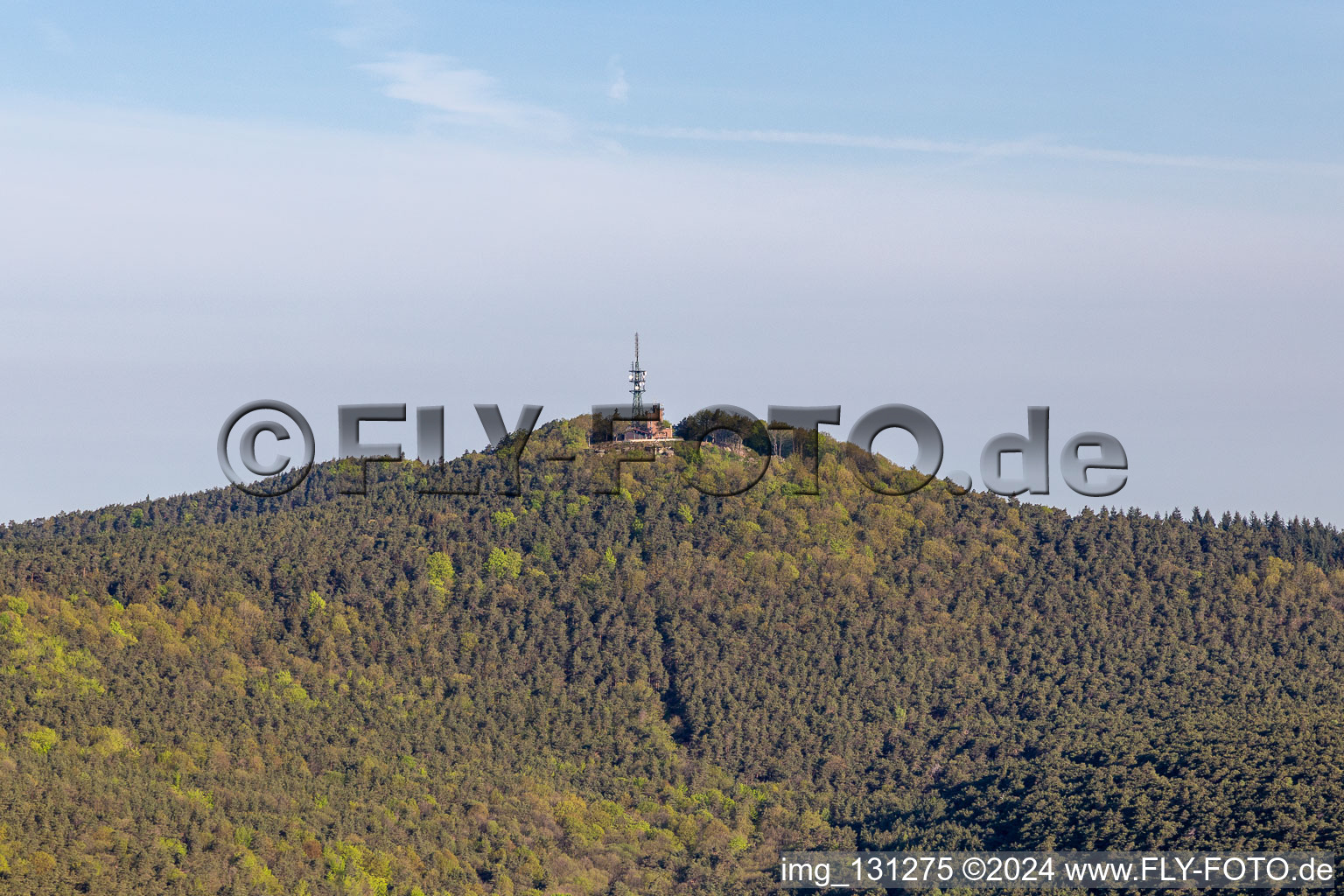 Kalmit in Maikammer in the state Rhineland-Palatinate, Germany