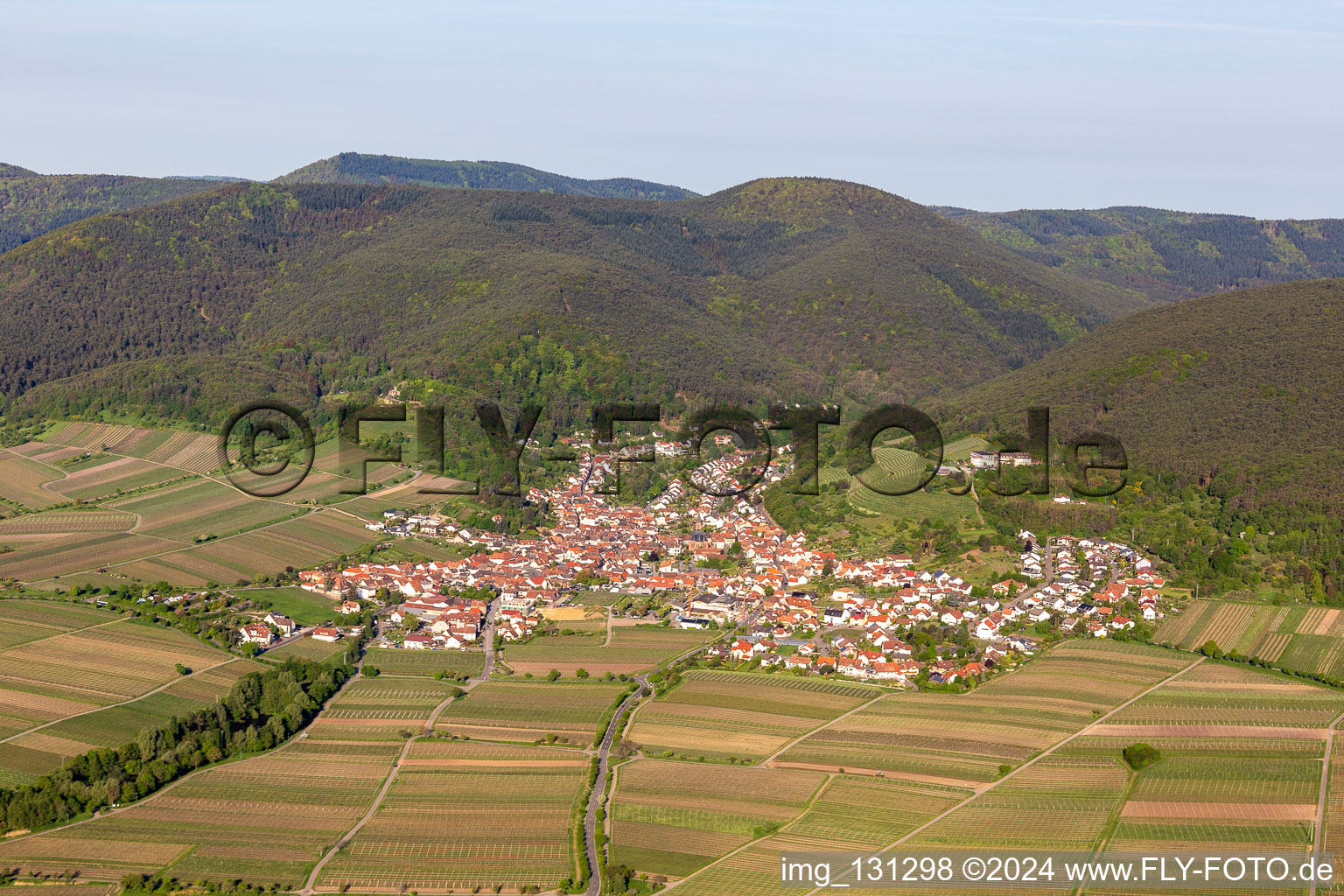 Oblique view of District SaintMartin in Sankt Martin in the state Rhineland-Palatinate, Germany