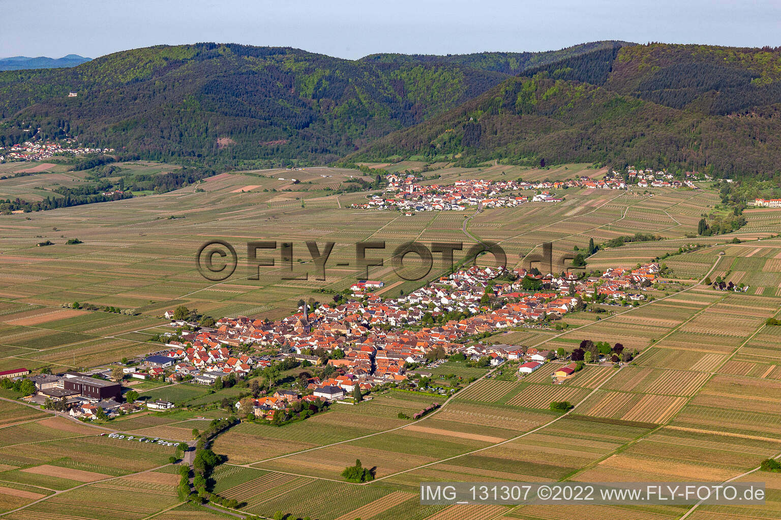 Aerial view of Rhodt unter Rietburg in the state Rhineland-Palatinate, Germany