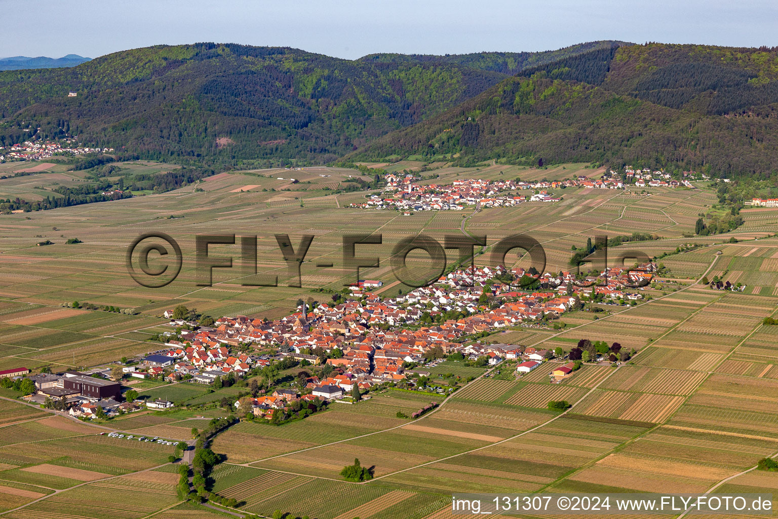 District Rhodt in Rhodt unter Rietburg in the state Rhineland-Palatinate, Germany seen from above