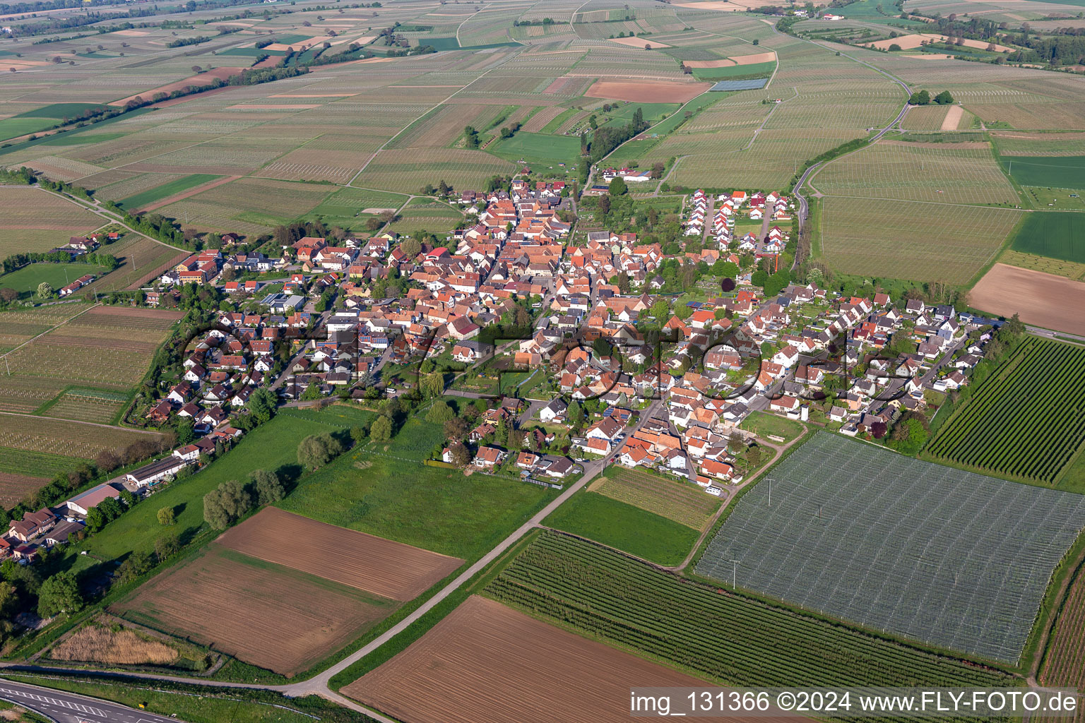 Impflingen in the state Rhineland-Palatinate, Germany seen from a drone