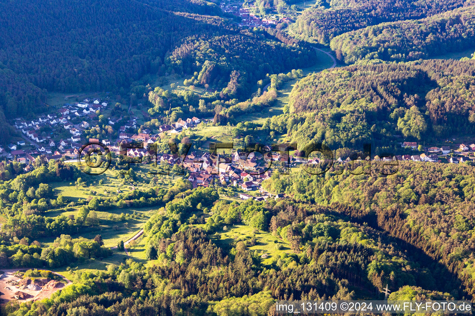 Schwanheim in the state Rhineland-Palatinate, Germany seen from above