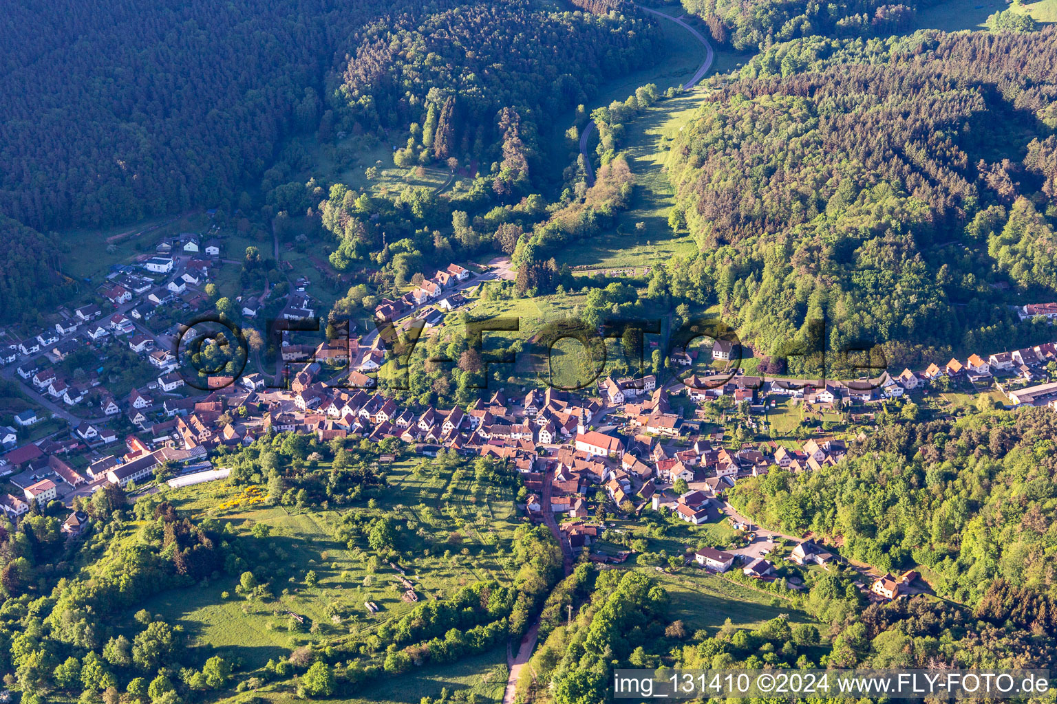 Schwanheim in the state Rhineland-Palatinate, Germany from the plane