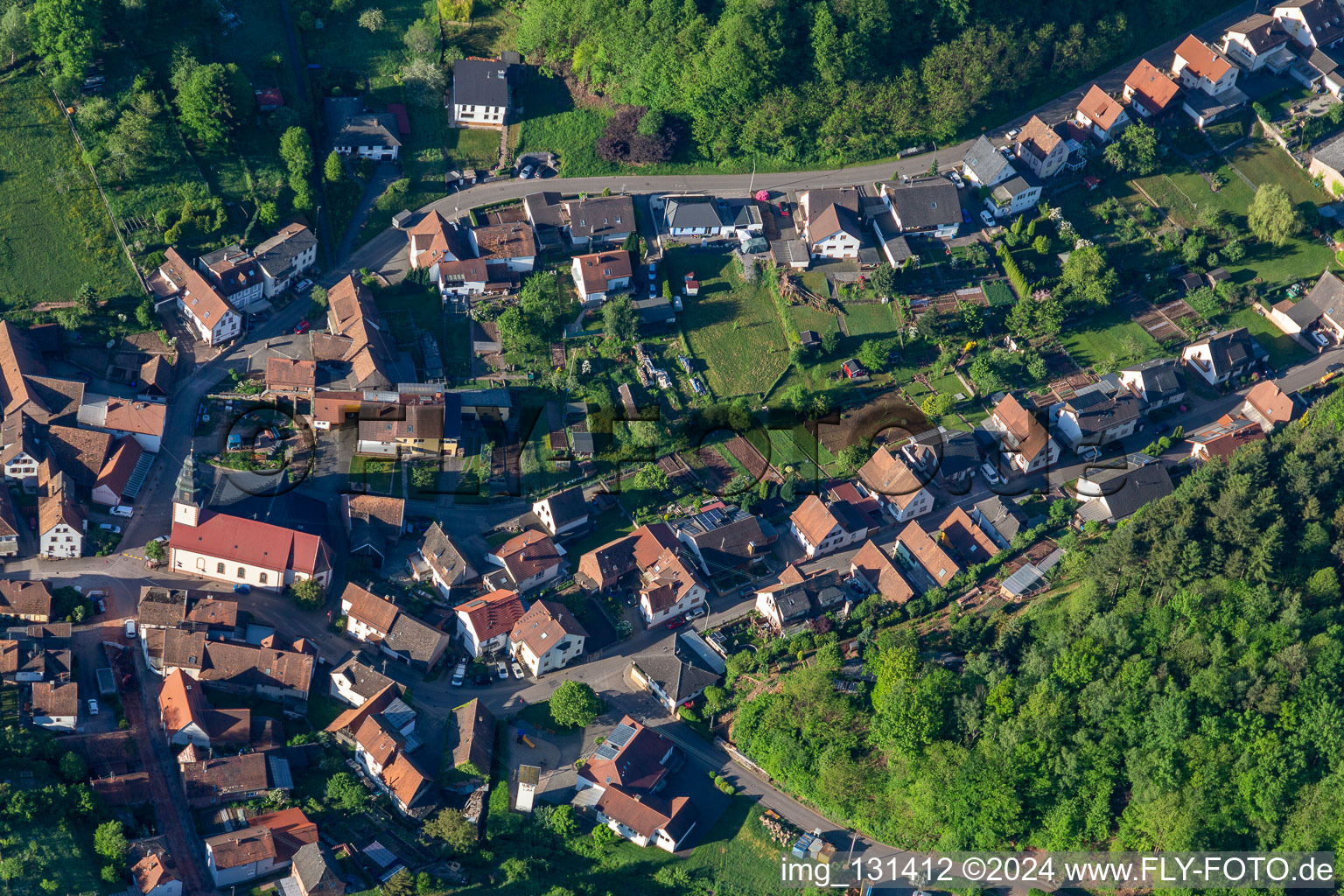 Schwanheim in the state Rhineland-Palatinate, Germany viewn from the air