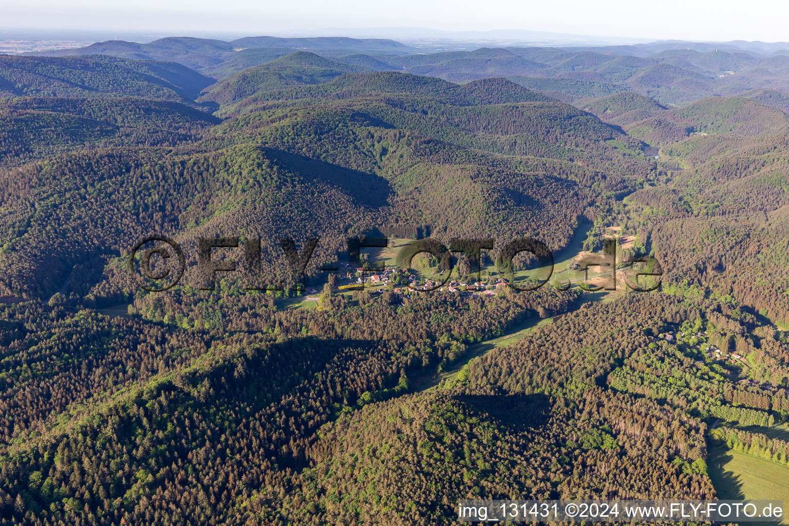 Lauterschwan in Vorderweidenthal in the state Rhineland-Palatinate, Germany