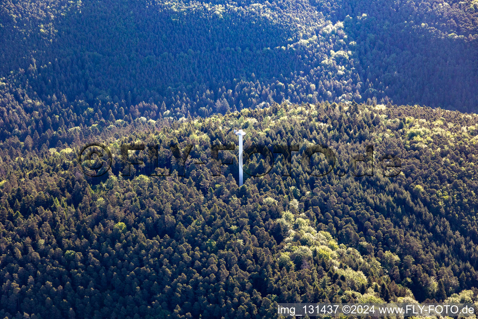 Aerial view of Transmission tower in the district Blankenborn in Bad Bergzabern in the state Rhineland-Palatinate, Germany