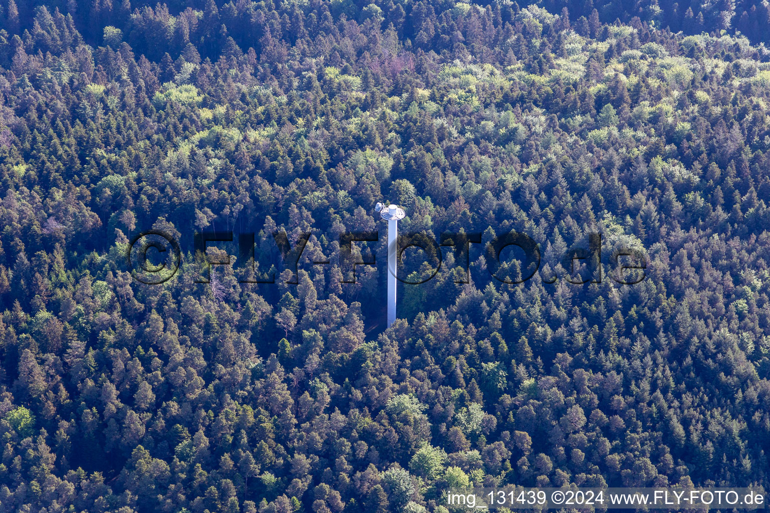 Aerial photograpy of Transmission tower in the district Blankenborn in Bad Bergzabern in the state Rhineland-Palatinate, Germany