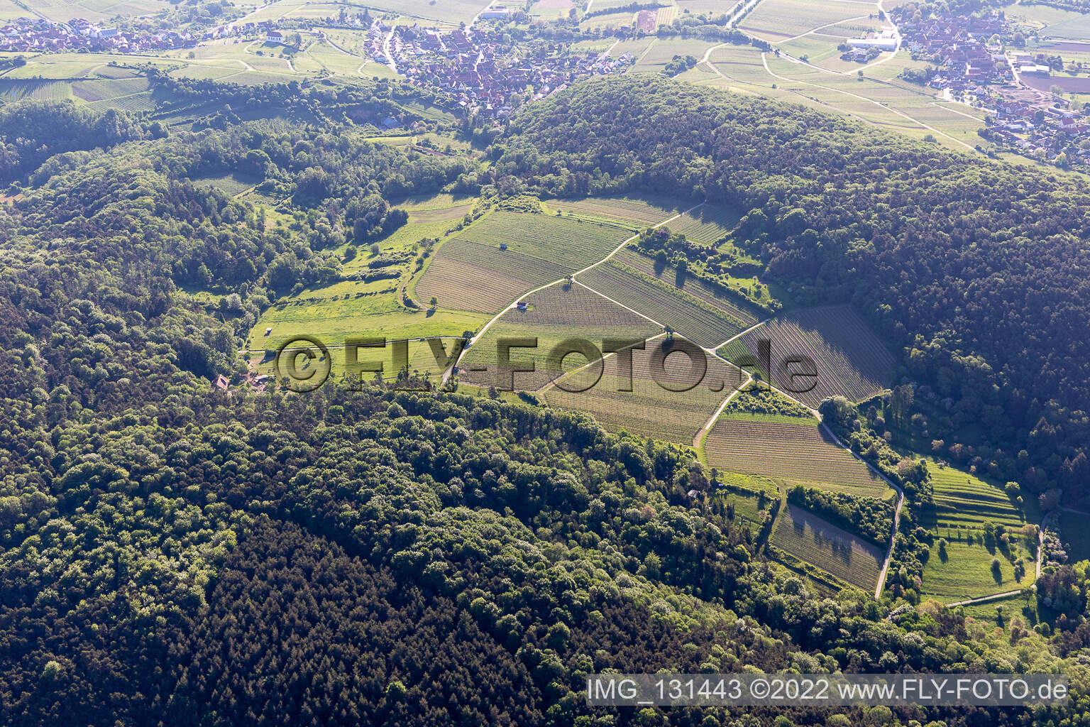 Wolfsteig in Pleisweiler-Oberhofen in the state Rhineland-Palatinate, Germany
