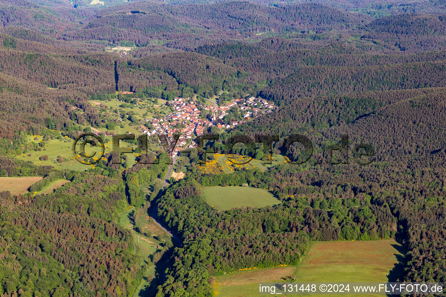 Birkenhördt in the state Rhineland-Palatinate, Germany seen from a drone