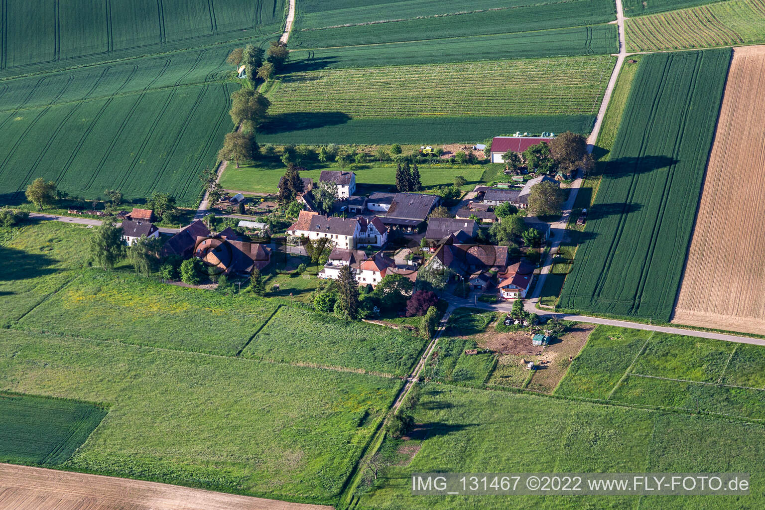 Aerial photograpy of Wine & Sparkling Wine Däuwel in the district Deutschhof in Kapellen-Drusweiler in the state Rhineland-Palatinate, Germany