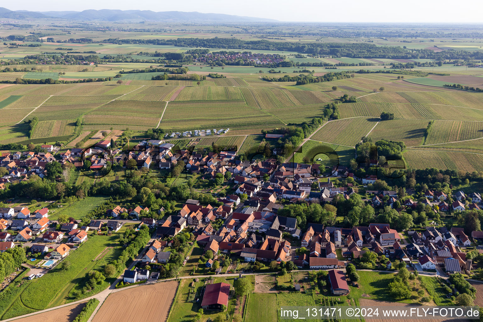 Oblique view of Dierbach in the state Rhineland-Palatinate, Germany