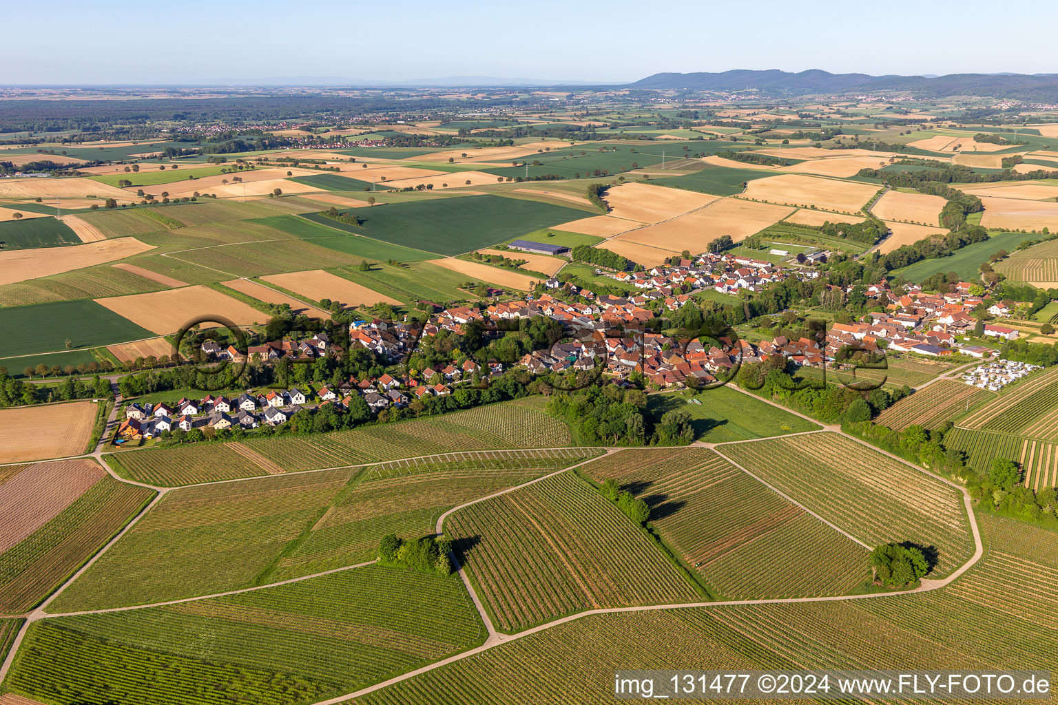 Dierbach in the state Rhineland-Palatinate, Germany viewn from the air