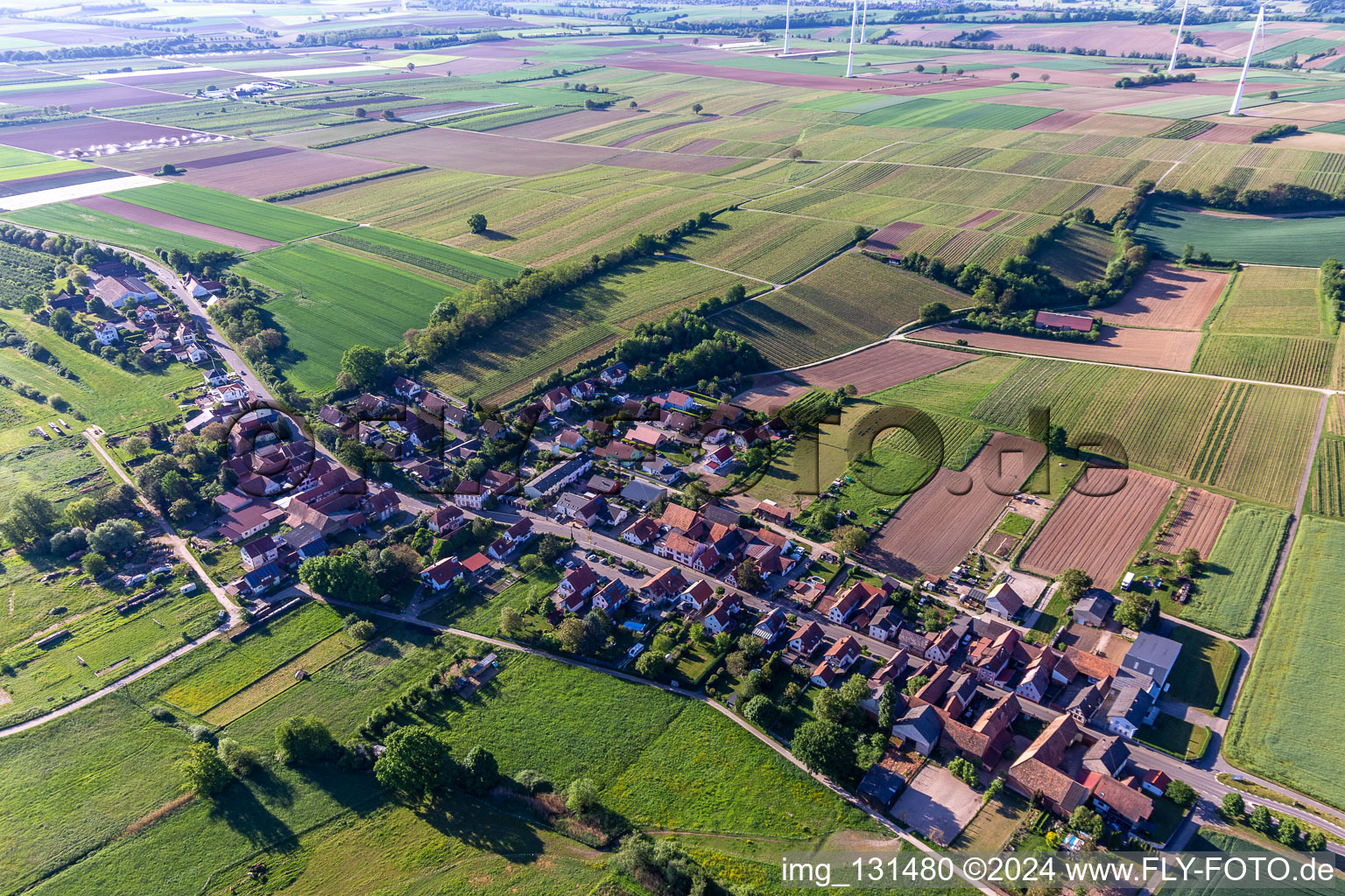 Hergersweiler in the state Rhineland-Palatinate, Germany from the plane