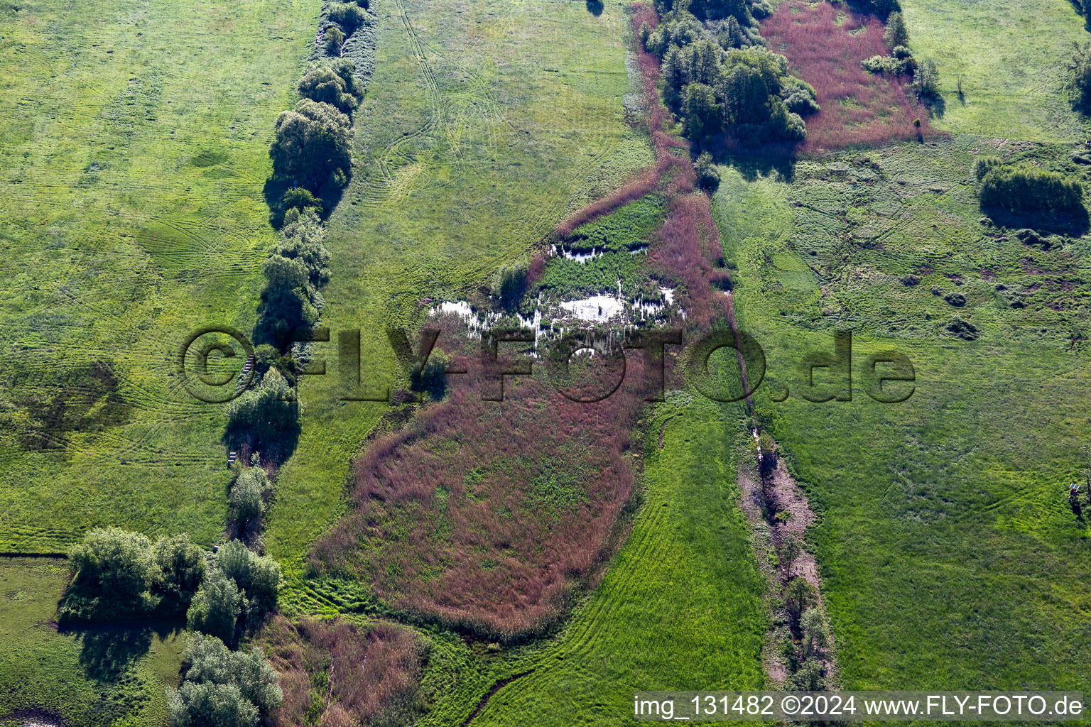 Aerial view of Biotope in Billigheimer Bruch in the district Mühlhofen in Billigheim-Ingenheim in the state Rhineland-Palatinate, Germany