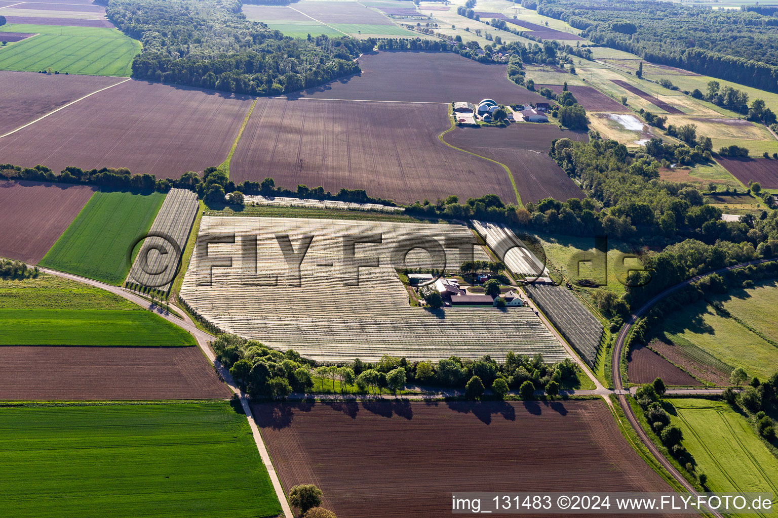 Oblique view of Asparagus and fruit farm Gensheimer in Steinweiler in the state Rhineland-Palatinate, Germany