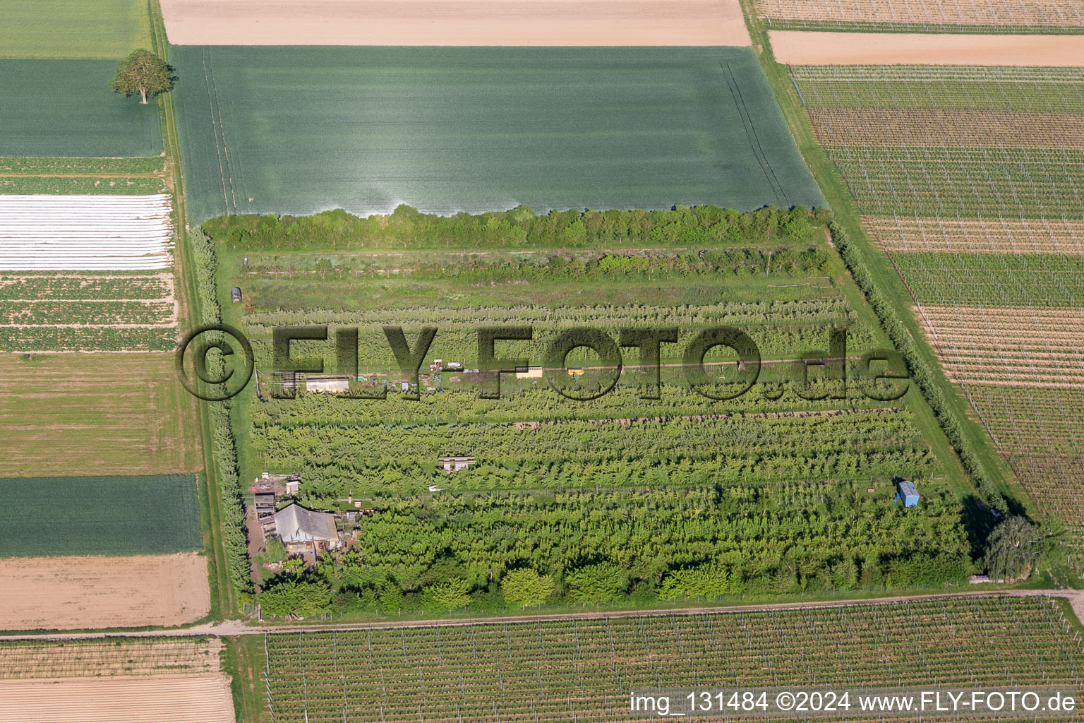 Aerial photograpy of Billigheim-Ingenheim in the state Rhineland-Palatinate, Germany