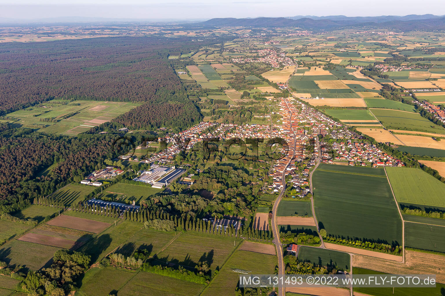 District Schaidt in Wörth am Rhein in the state Rhineland-Palatinate, Germany seen from a drone